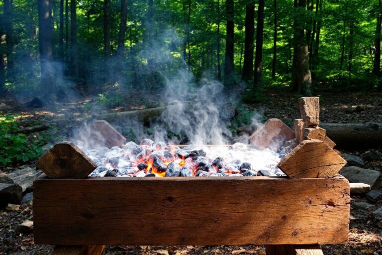 Histoire et origine du barbecue : qui l'a inventé ?