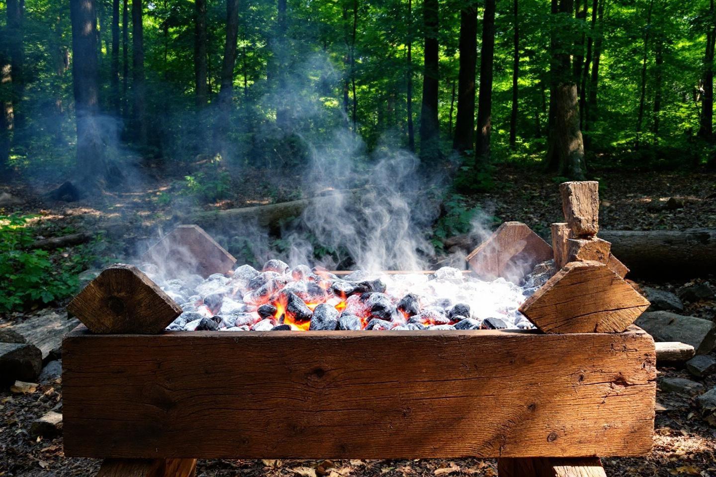 Histoire et origine du barbecue : qui l'a inventé ?