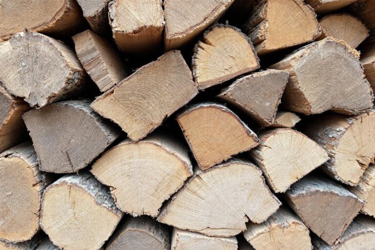 Quel est le poids d'un stère de bois sec ou vert ?